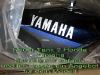 tank yamaha.jpg